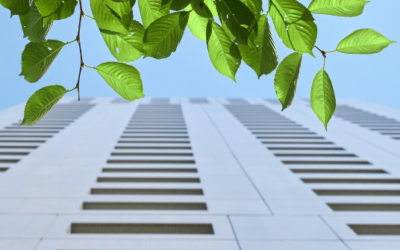 CRREM Explained: Protect Real Estate from Carbon Risk